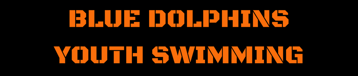 Blue Dolphins Youth Swimming Banner